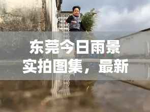 东莞今日雨景实拍图集,最新下雨瞬间一网打尽
