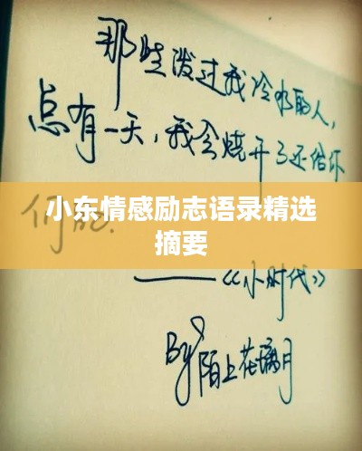 小东情感励志语录精选摘要