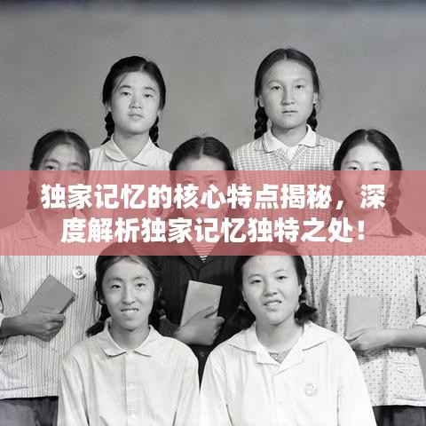 独家记忆的核心特点揭秘,深度解析独家记忆独特之处!