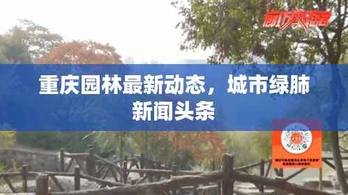 重庆园林最新动态,城市绿肺新闻头条