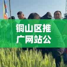 铜山区推广网站公司排名揭秘,影响力深度解析