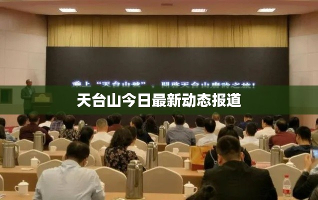 天台山今日最新动态报道