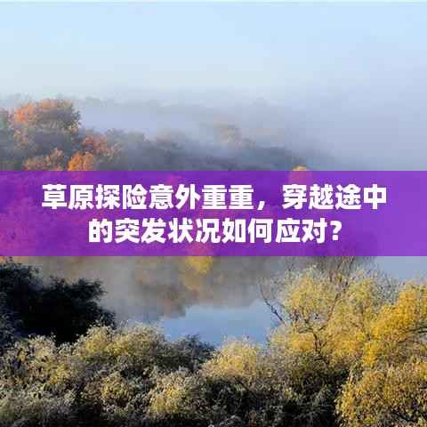 草原探险意外重重,穿越途中的突发状况如何应对?