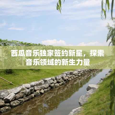 西瓜音乐独家签约新星,探索音乐领域的新生力量