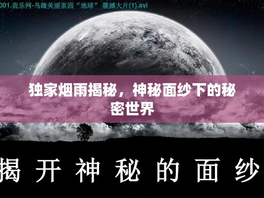 独家烟雨揭秘,神秘面纱下的秘密世界
