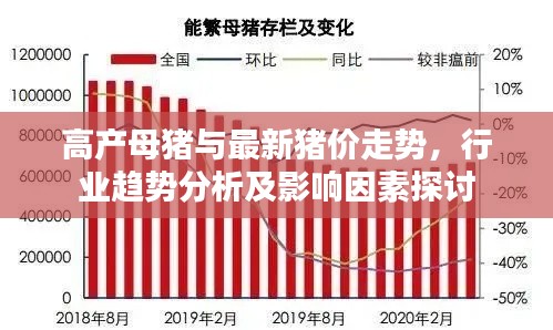 高产母猪与最新猪价走势,行业趋势分析及影响因素探讨
