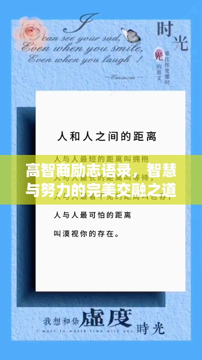 高智商励志语录,智慧与努力的完美交融之道