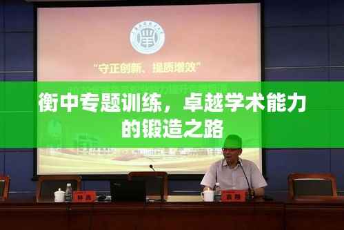 衡中专题训练,卓越学术能力的锻造之路