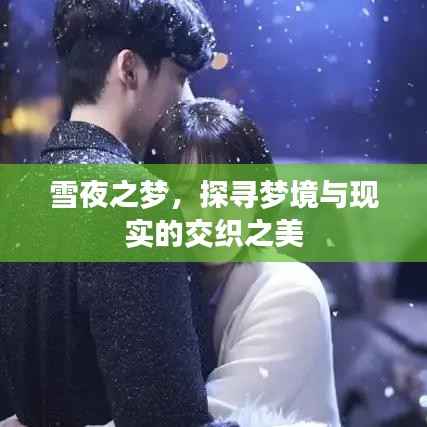 雪夜之梦,探寻梦境与现实的交织之美