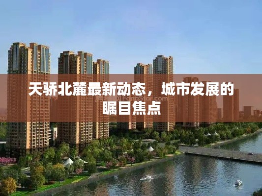 天骄北麓最新动态,城市发展的瞩目焦点