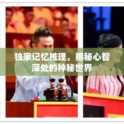 独家记忆推理,揭秘心智深处的神秘世界