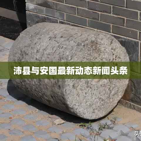沛县与安国最新动态新闻头条