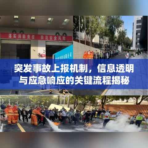 突发事故上报机制,信息透明与应急响应的关键流程揭秘