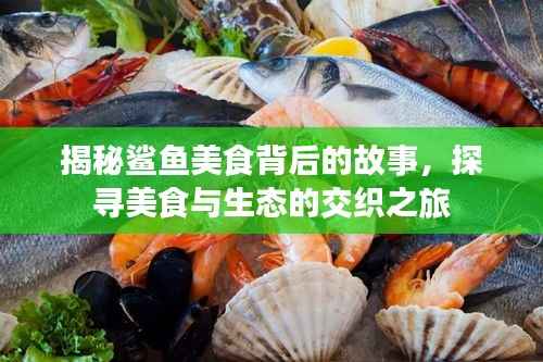 揭秘鲨鱼美食背后的故事,探寻美食与生态的交织之旅