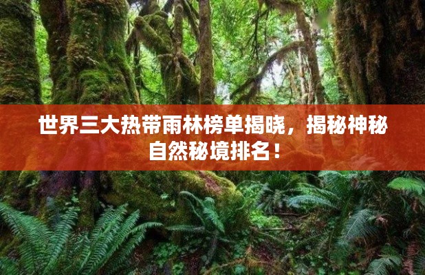 世界三大热带雨林榜单揭晓,揭秘神秘自然秘境排名!
