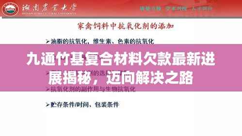 九通竹基复合材料欠款最新进展揭秘,迈向解决之路