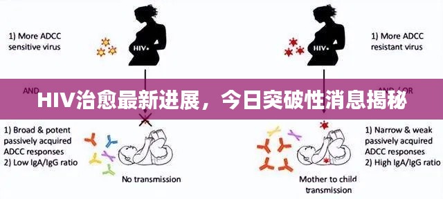 HIV治愈最新进展,今日突破性消息揭秘