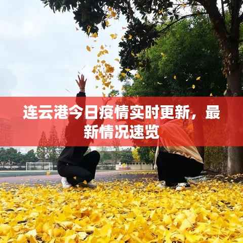 连云港今日疫情实时更新,最新情况速览