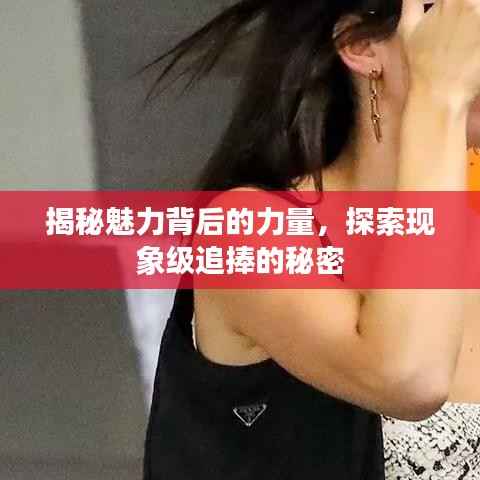 揭秘魅力背后的力量,探索现象级追捧的秘密