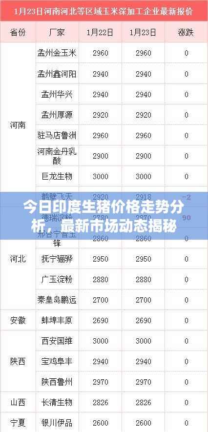 今日印度生猪价格走势分析,最新市场动态揭秘