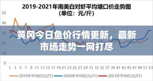 黄冈今日鱼价行情更新,最新市场走势一网打尽