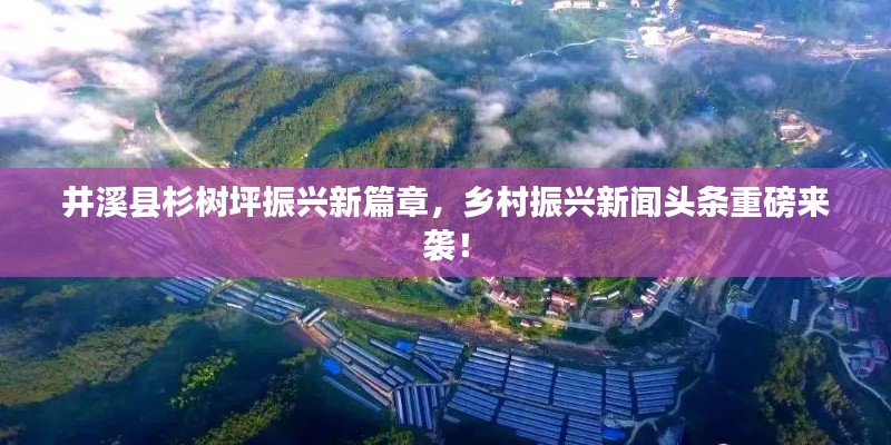 井溪县杉树坪振兴新篇章,乡村振兴新闻头条重磅来袭!