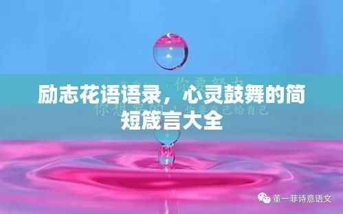 励志花语语录，心灵鼓舞的简短箴言大全