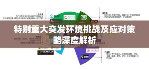 特别重大突发环境挑战及应对策略深度解析