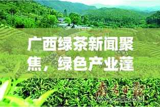 广西绿茶新闻聚焦,绿色产业蓬勃发展,引领时代潮流