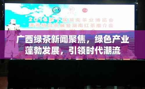 广西绿茶新闻聚焦,绿色产业蓬勃发展,引领时代潮流