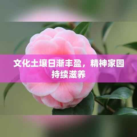 文化土壤日渐丰盈,精神家园持续滋养