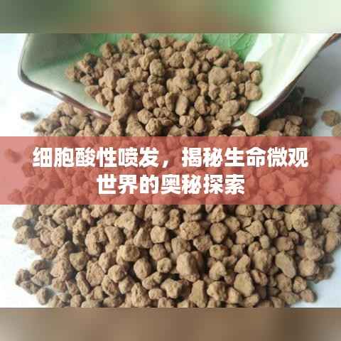 细胞酸性喷发,揭秘生命微观世界的奥秘探索