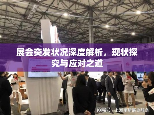 展会突发状况深度解析,现状探究与应对之道