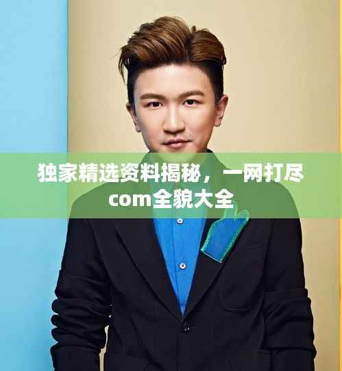 独家精选资料揭秘,一网打尽com全貌大全