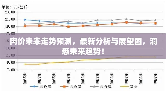 肉价未来走势预测,最新分析与展望图,洞悉未来趋势!