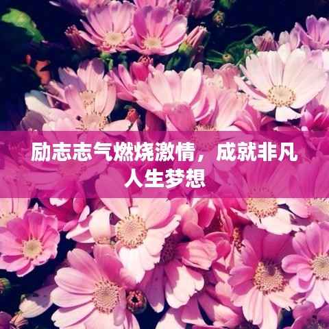 励志志气燃烧激情,成就非凡人生梦想