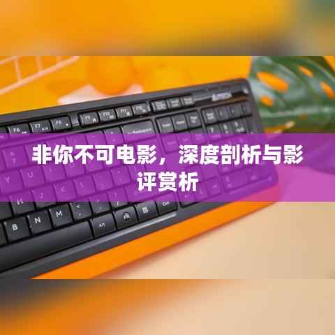 非你不可电影,深度剖析与影评赏析
