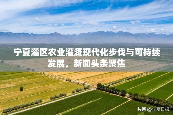 宁夏灌区农业灌溉现代化步伐与可持续发展,新闻头条聚焦