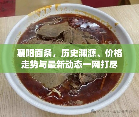 襄阳面条,历史渊源、价格走势与最新动态一网打尽