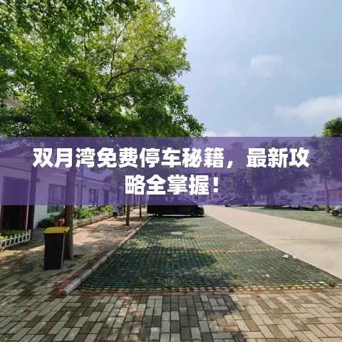 双月湾免费停车秘籍,最新攻略全掌握!