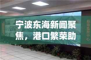 宁波东海新闻聚焦,港口繁荣助力区域发展最新动态