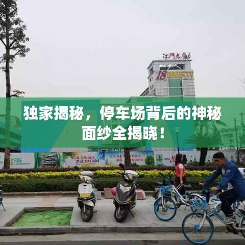 独家揭秘,停车场背后的神秘面纱全揭晓!