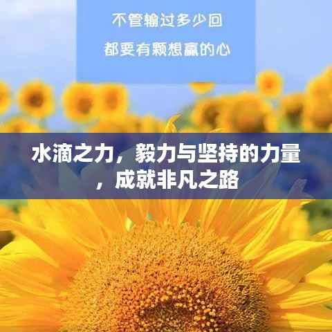 水滴之力,毅力与坚持的力量,成就非凡之路