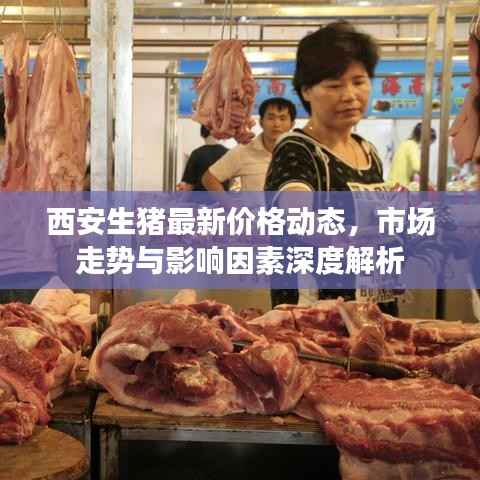 西安生猪最新价格动态,市场走势与影响因素深度解析