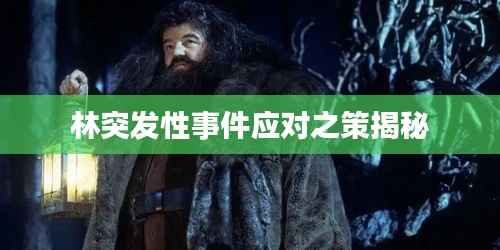 林突发性事件应对之策揭秘