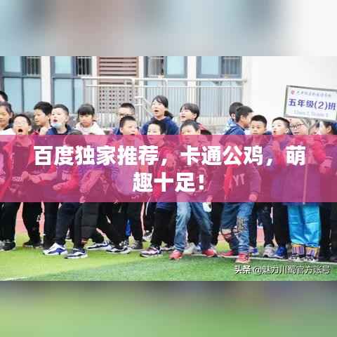 百度独家推荐,卡通公鸡,萌趣十足!