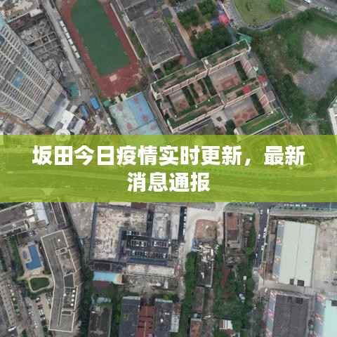 坂田今日疫情实时更新,最新消息通报