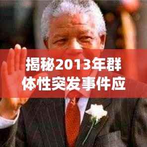 揭秘2013年群体性突发事件应对策略,深度解析与应对之道