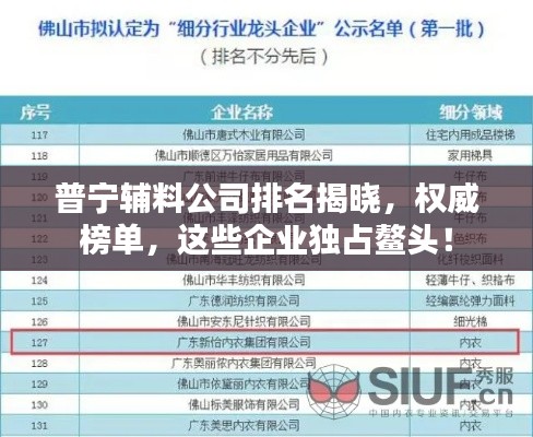 普宁辅料公司排名揭晓,权威榜单,这些企业独占鳌头!