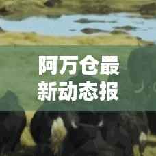 阿万仓最新动态报道,今日情况更新消息速递